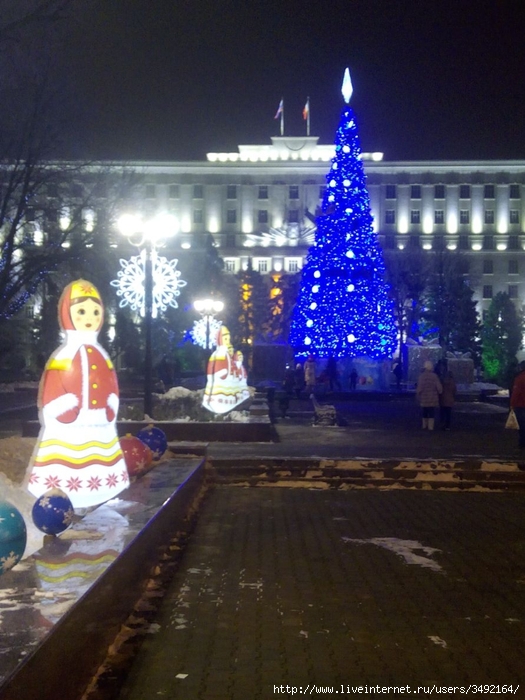 IMG_20161224_210210_1CS (525x700, 281Kb)