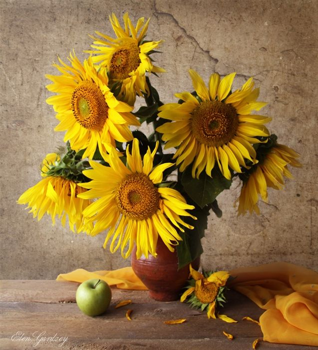 86845039b006599774110c1f68929ebc--still-life-photos-still-life-art (637x700, 360Kb)