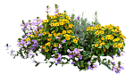 0_6aa4d_e4b5494a_S-removebg (150x83, 25Kb)