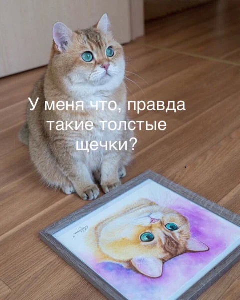 4743317_image20190619 (480x600, 73Kb)