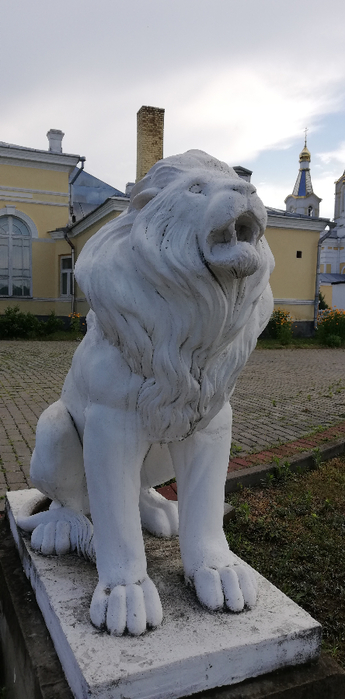 IMG_20190621_161336 (345x700, 244Kb)