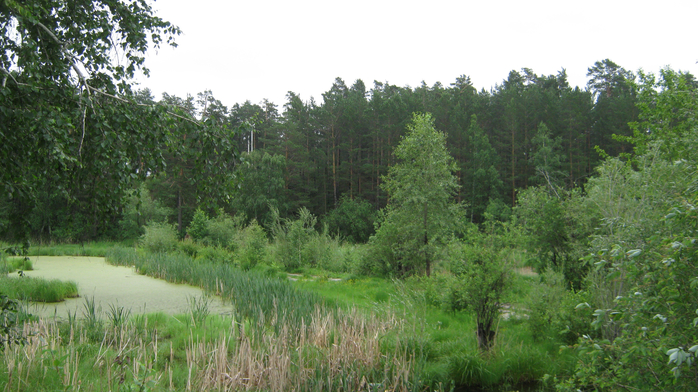 IMG_7021 (700x392, 395Kb)