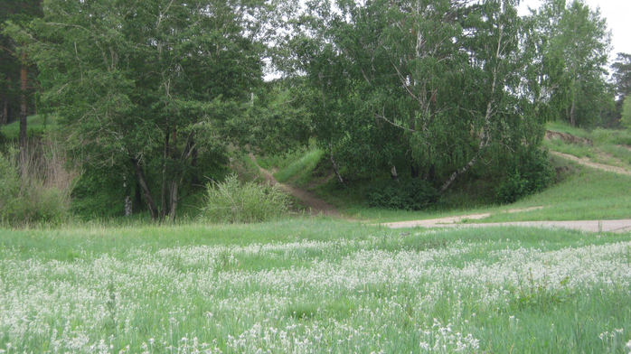 IMG_7082 (700x392, 437Kb)