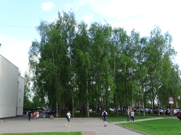 DSC00185 (700x525, 434Kb)