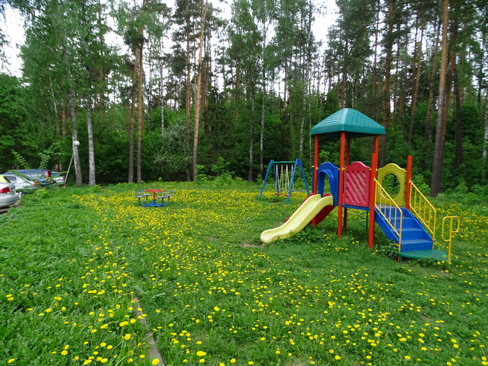DSC00413 (700x525, 646Kb)