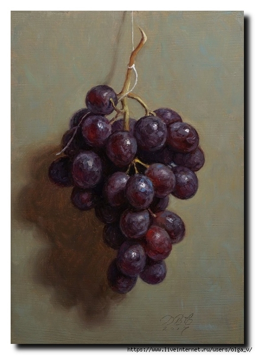 hanginggrapesx (503x700, 213Kb)