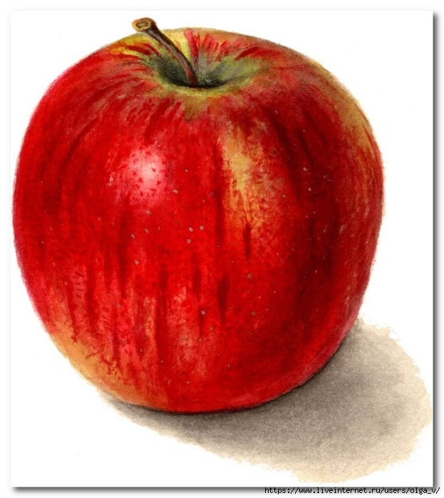Apple-Images-Clip-Art-GraphicsFairy-768x867 (623x700, 232Kb)