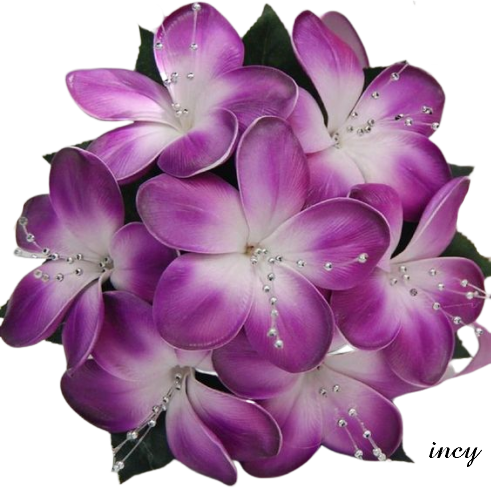 lila csokor (491x488, 521Kb)