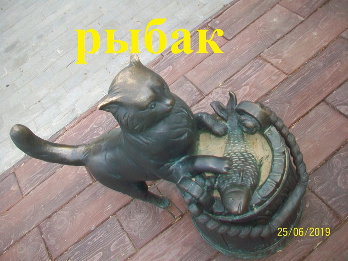 рыбак котик (700x525, 396Kb)