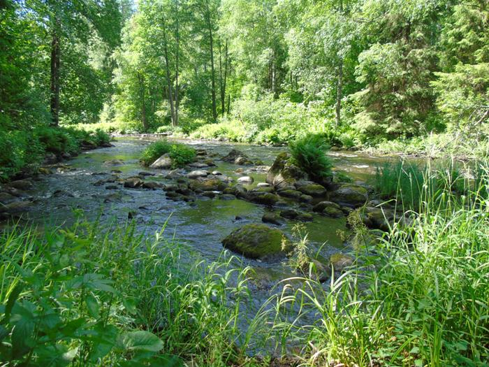 DSC01453 (700x525, 511Kb)