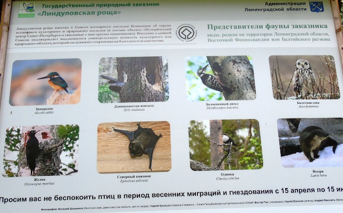 DSC01503 (700x435, 326Kb)