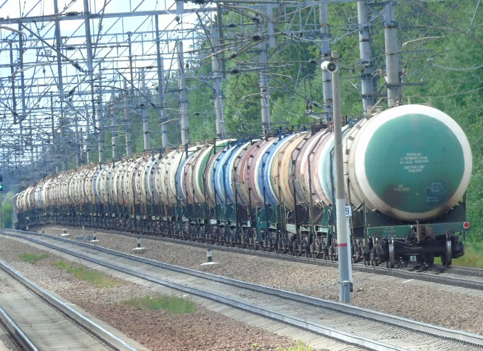 DSC01546 (700x509, 457Kb)