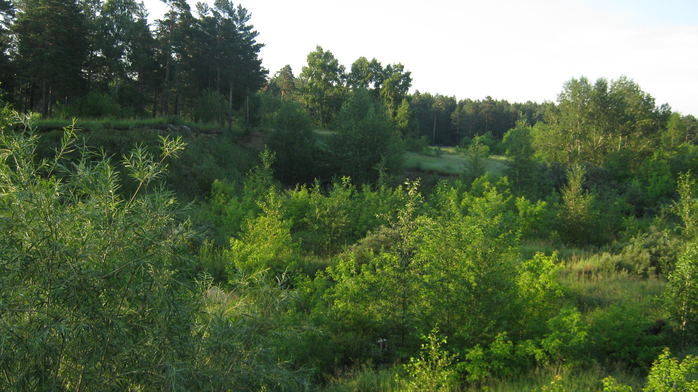 IMG_7280 (700x392, 417Kb)