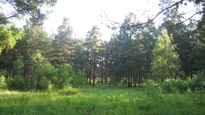IMG_7308 (700x392, 442Kb)