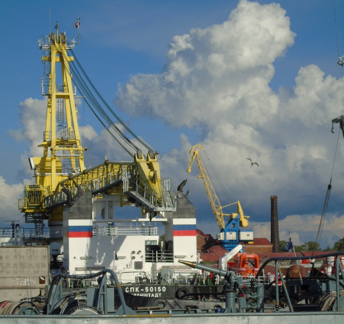 DSC01980 (700x660, 444Kb)