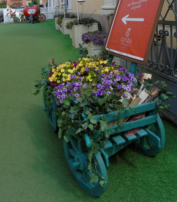 DSC02142 (612x700, 500Kb)