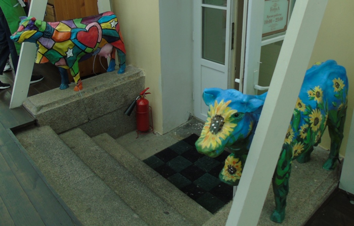 DSC02151 (700x448, 287Kb)