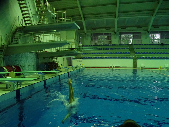 DSC00051 (700x525, 448Kb)