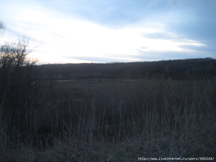 IMG_0212 (700x525, 200Kb)
