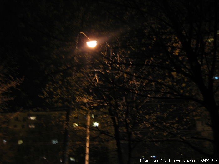 IMG_0327 (700x525, 225Kb)
