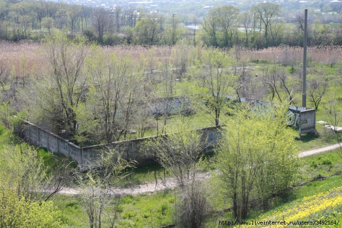 IMG_0707 (700x466, 357Kb)