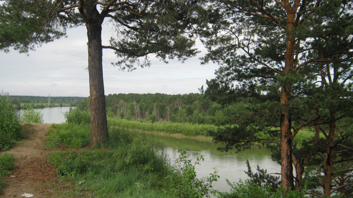 IMG_7489 (700x392, 425Kb)
