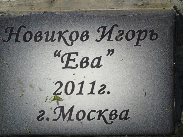 DSC03574 (700x525, 291Kb)