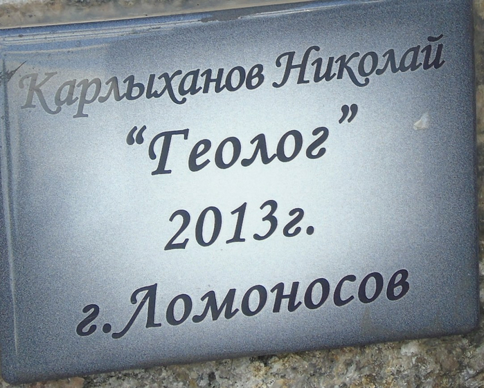 DSC03586 (700x561, 412Kb)