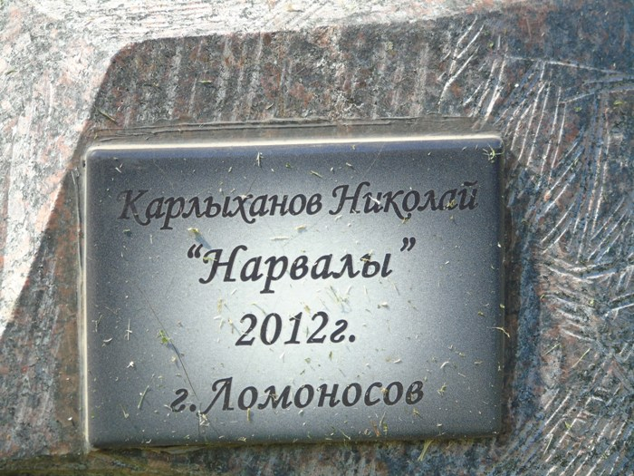 DSC03595 (700x525, 396Kb)