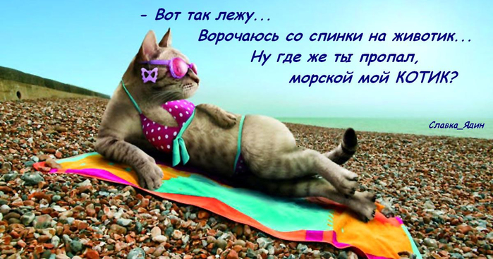 Котоматрица - 3 - Страница 40 149547790_RRS6