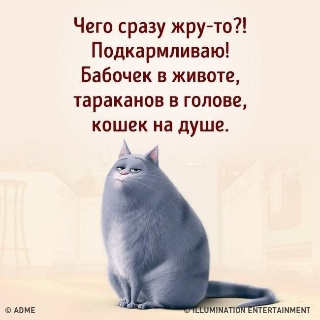 3416556_i_1_ (650x650, 47Kb)/3416556_149467574_3416556_i_1_ (650x650, 47Kb)