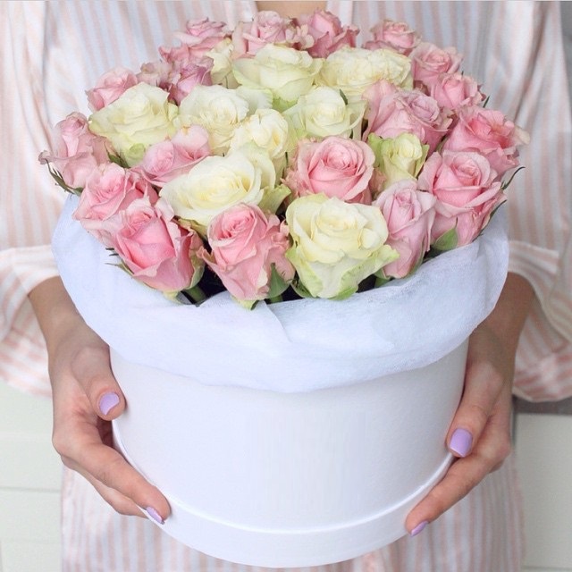 2.jpg5 (640x640, 108Kb)