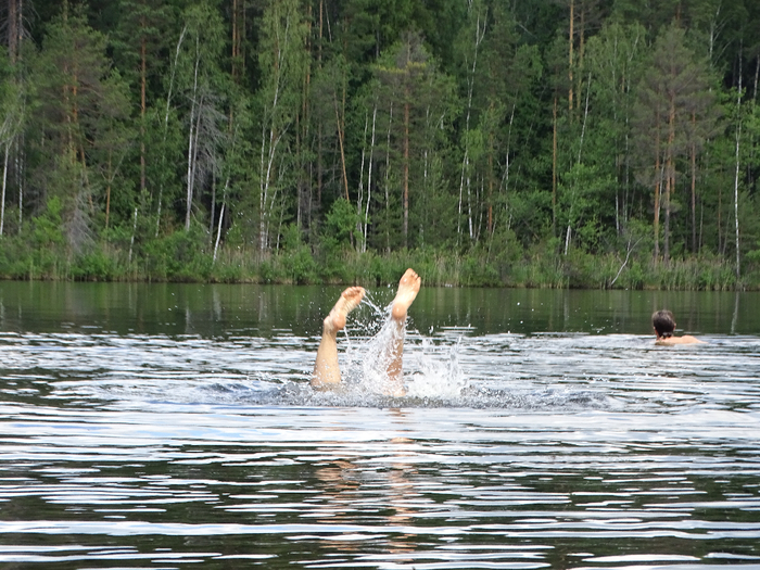 DSC00243 (700x525, 484Kb)