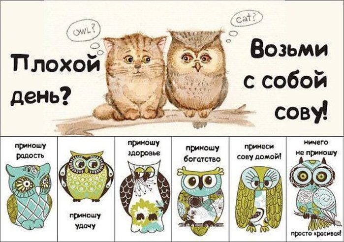Сделать новогоднюю, открытки с хорошим днем и настроение прикольные с совятами