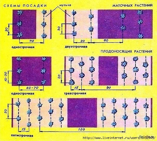 6032945_PomOVgZg_jo (533x480, 217Kb)