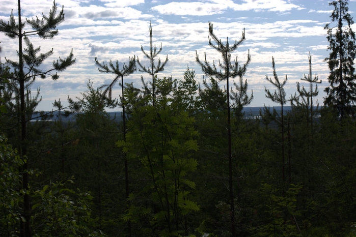 DSC_0082 (700x466, 402Kb)