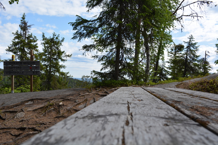 DSC_0156 (700x467, 456Kb)