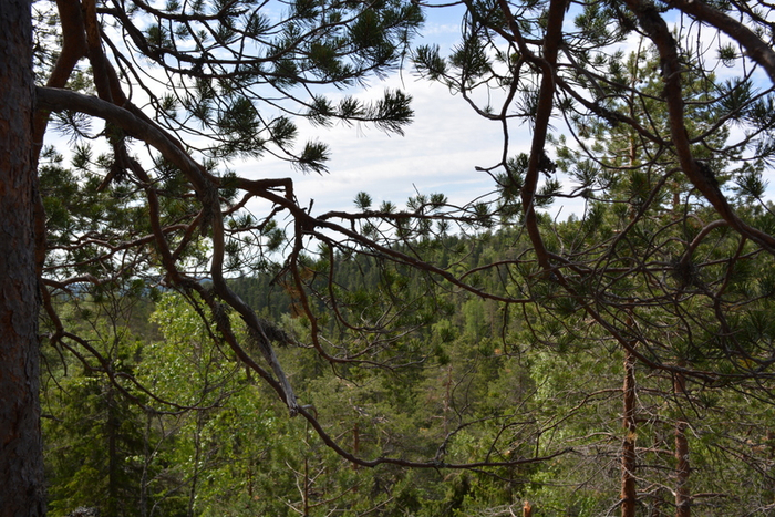 DSC_0183 (700x467, 518Kb)