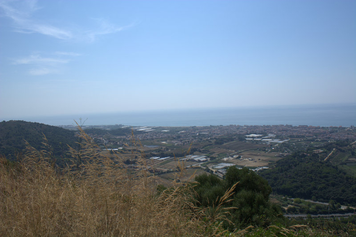 DSC_0228 (700x466, 282Kb)