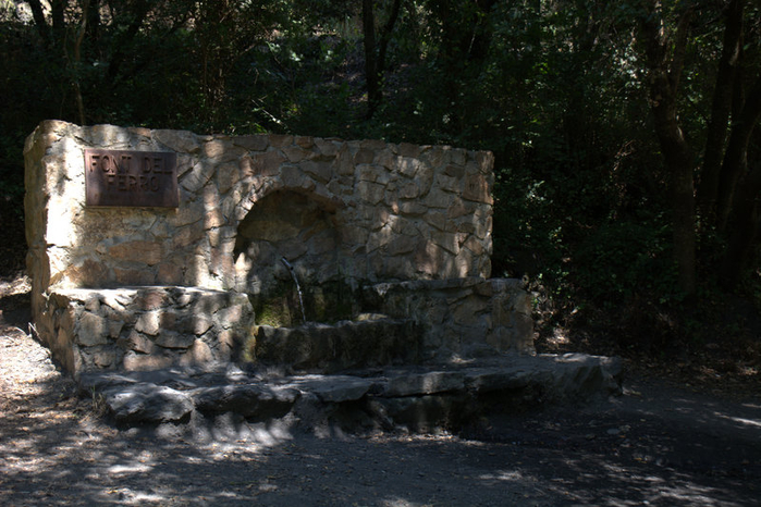 DSC_0264 (700x466, 396Kb)