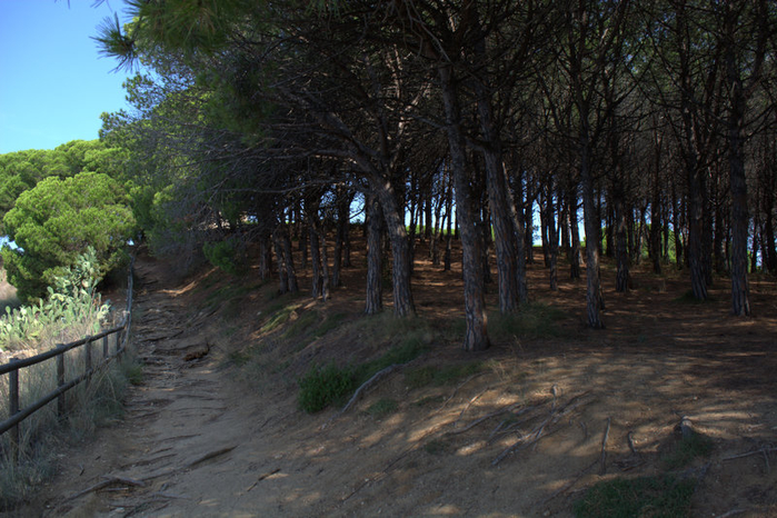 DSC_0607 (700x466, 428Kb)
