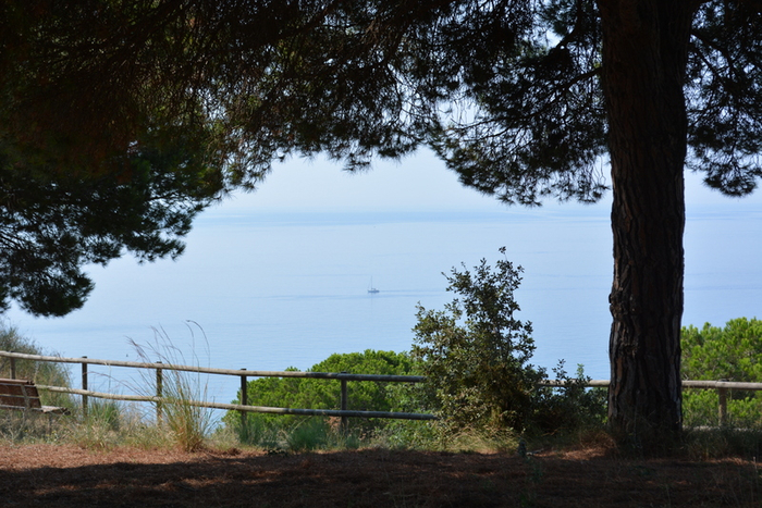 DSC_0618 (700x467, 428Kb)