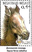 Horse-Equus-ferus-caballus (134x215, 21Kb)