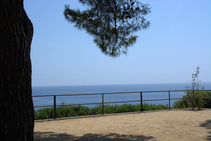 DSC_0384 (700x466, 282Kb)