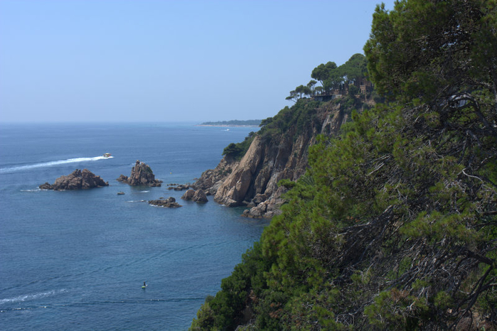 DSC_0395 (700x466, 329Kb)