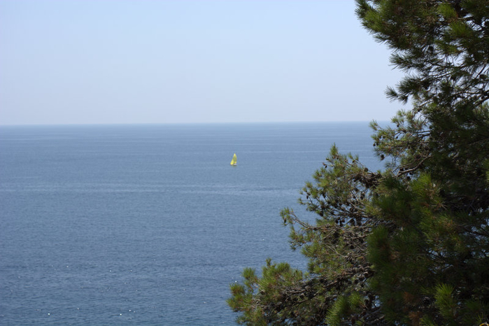DSC_0404 (700x466, 264Kb)