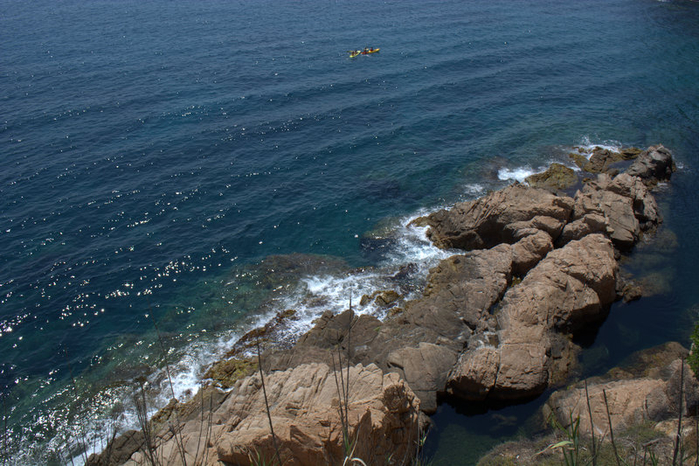 DSC_0438 (700x466, 418Kb)