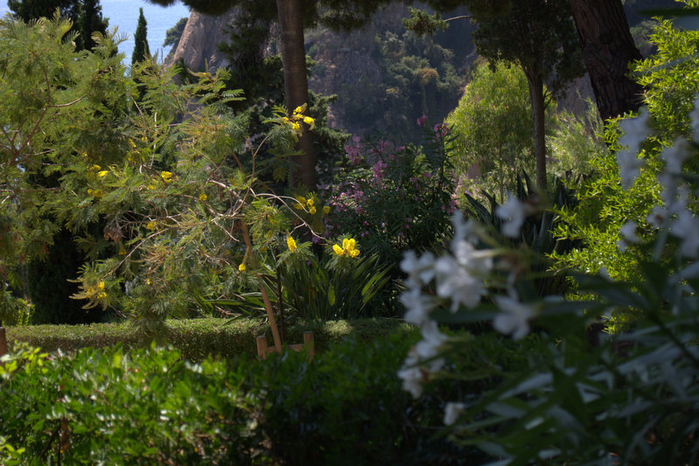 DSC_0507 (700x466, 468Kb)