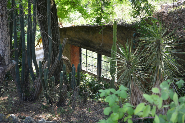 DSC_0566 (700x467, 502Kb)