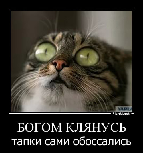 4к (500x536, 108Kb)